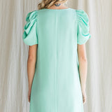 Bethany Draped Sleeves Dress