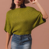 Dolman Boat Neck Sweater Top